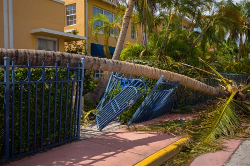 Hurricane Irma Damage