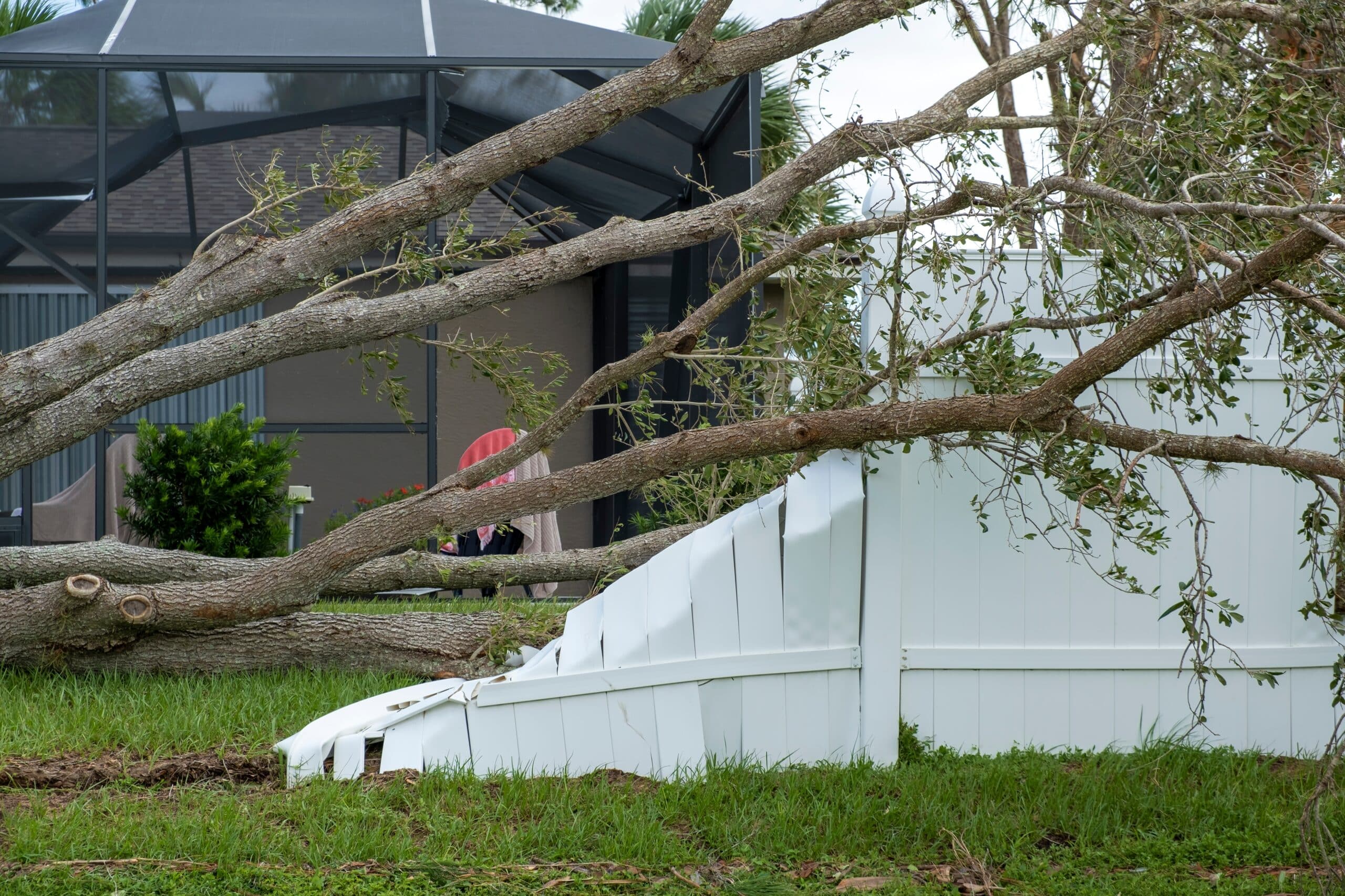 Large tree fallen against the side of a house after a storm