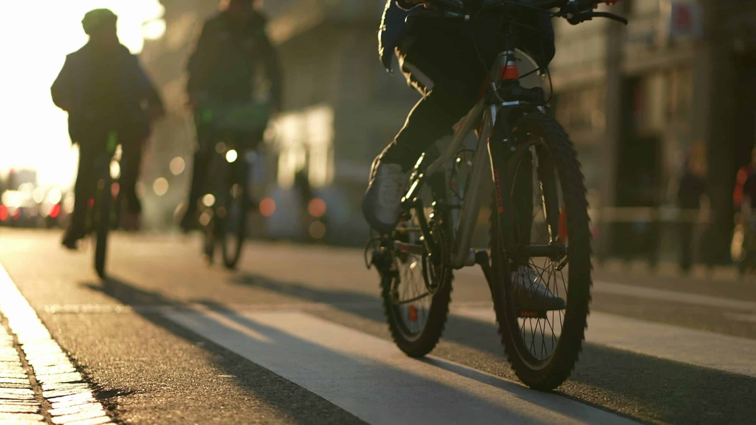 Silhouettes of cyclists riding along a path at dusk
