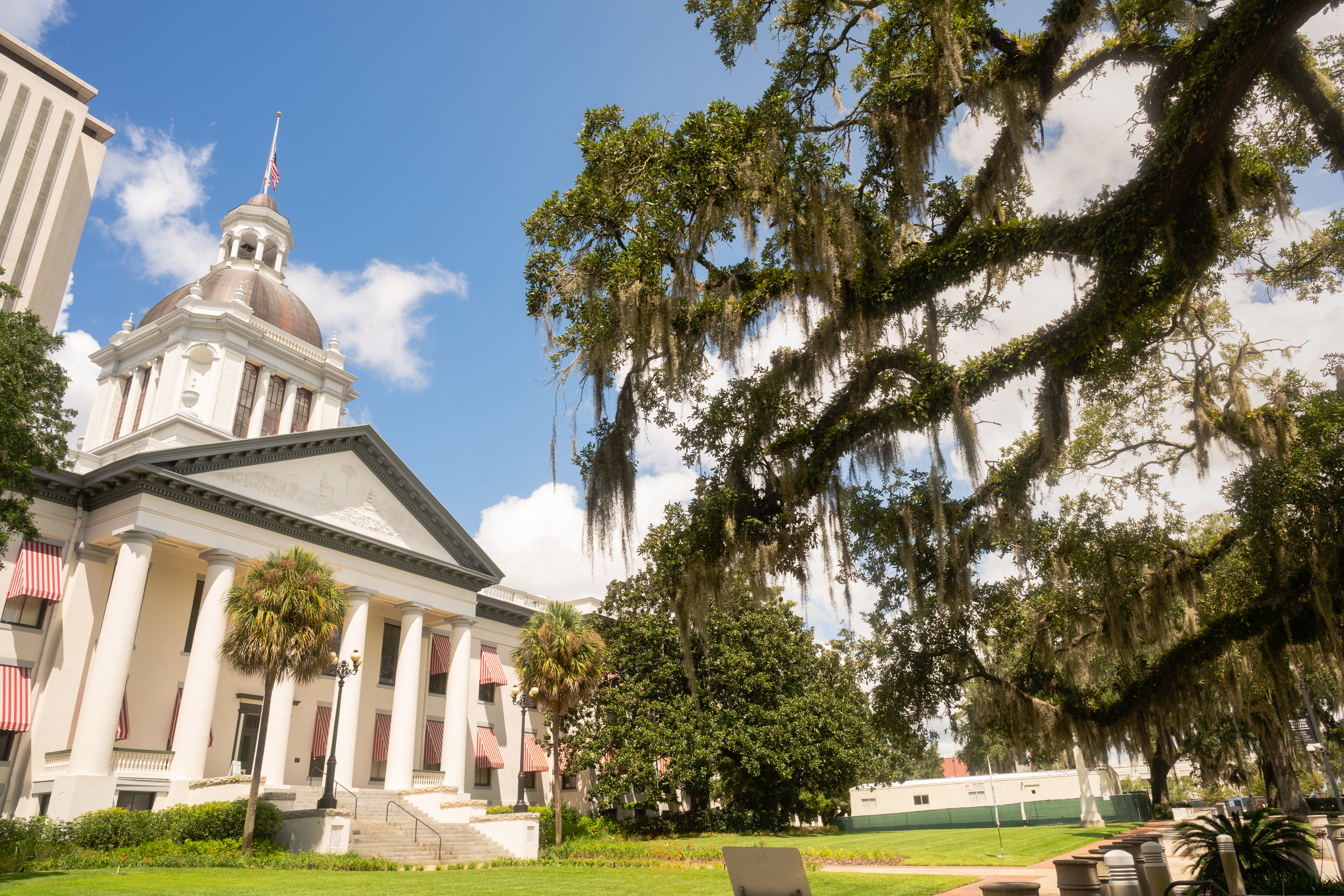 Historic Florida courthouse with a dome framed by oak trees