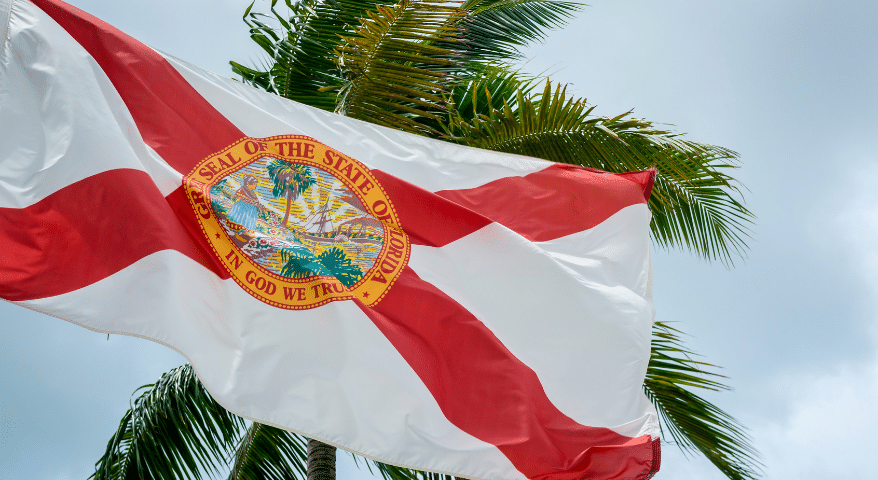Florida state flag waving beside palm trees