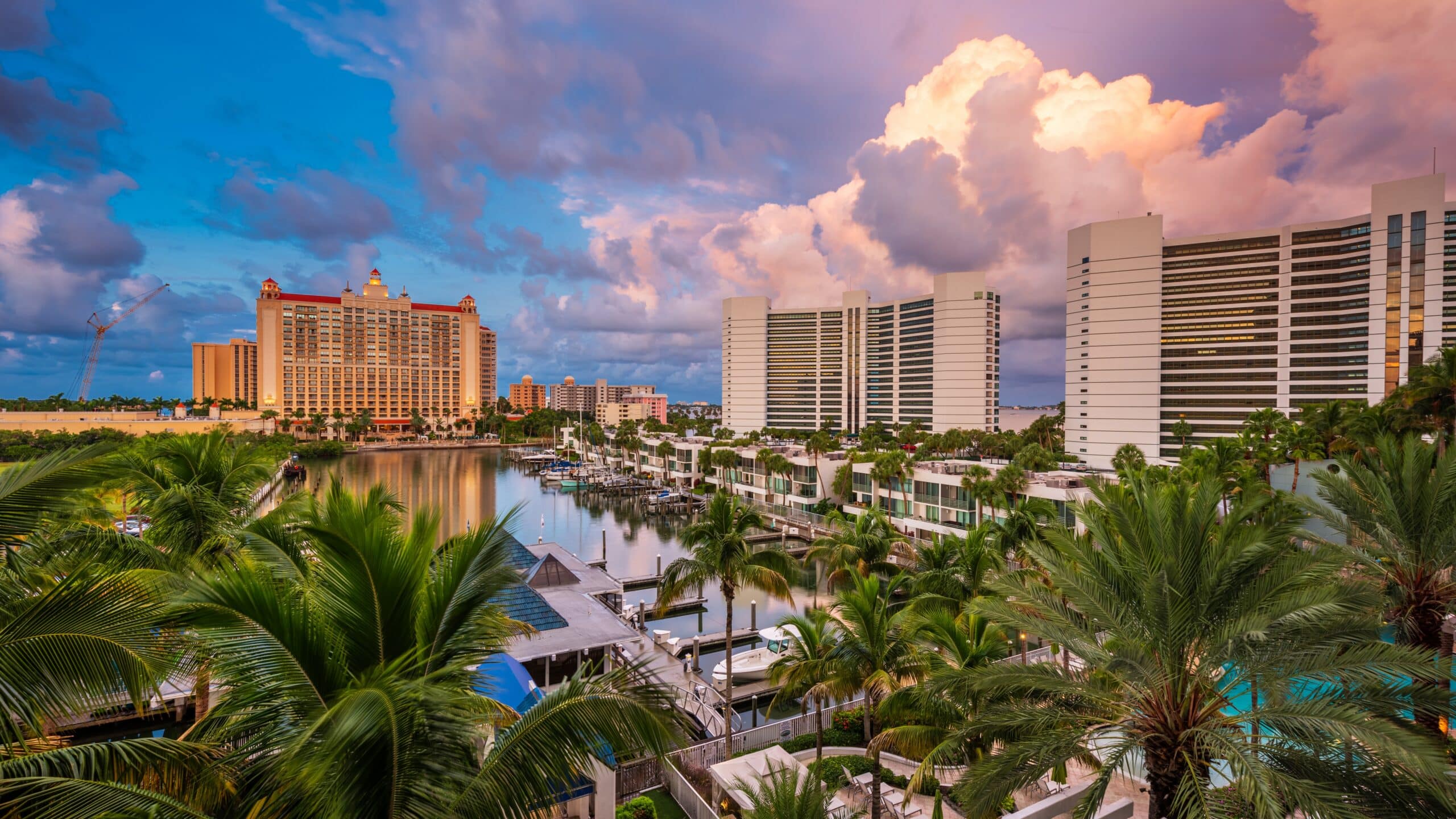 Tampa waterfront skyline with hotels and palm trees at dusk