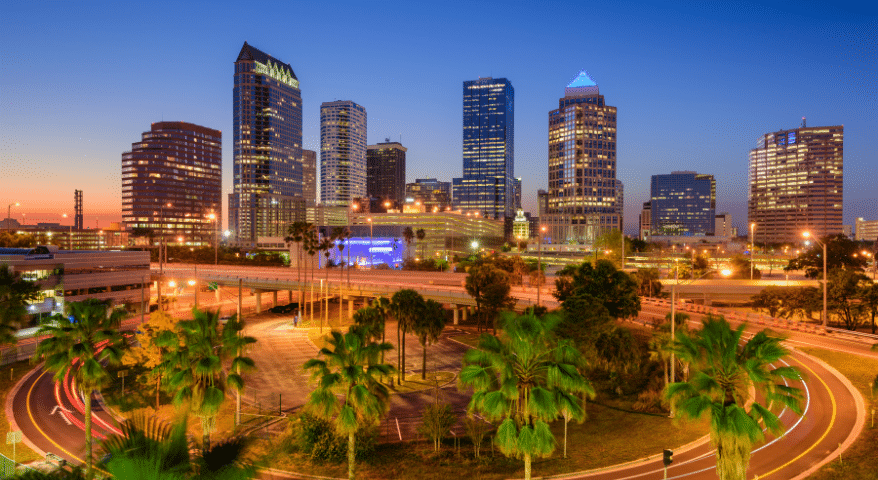 Tampa skyline at dusk with palm trees and glowing city lights