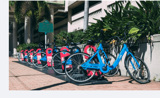 Tampa cycling accident|