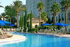 pool with palm trees